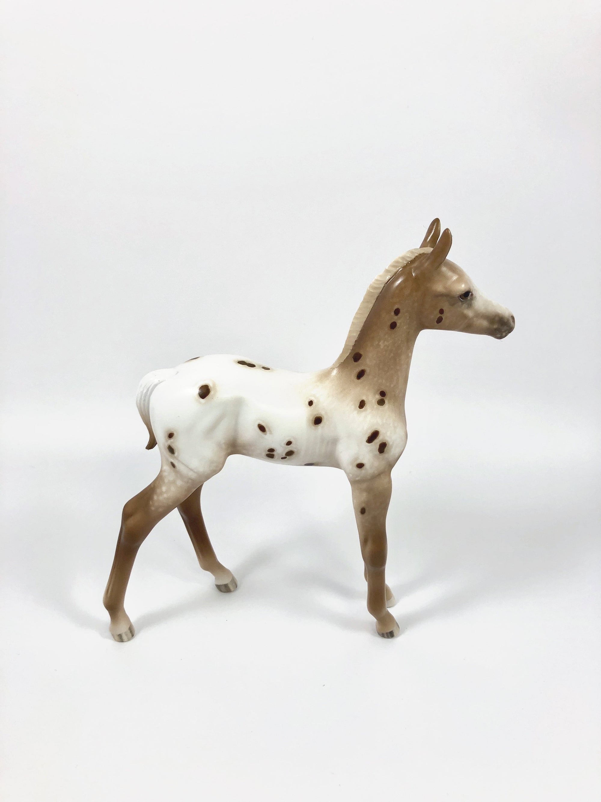 SUMMER SNOWCONE-OOAK CHESTNUT APPALOOSA FOAL BY SHERYL LEISURE 4/25/19