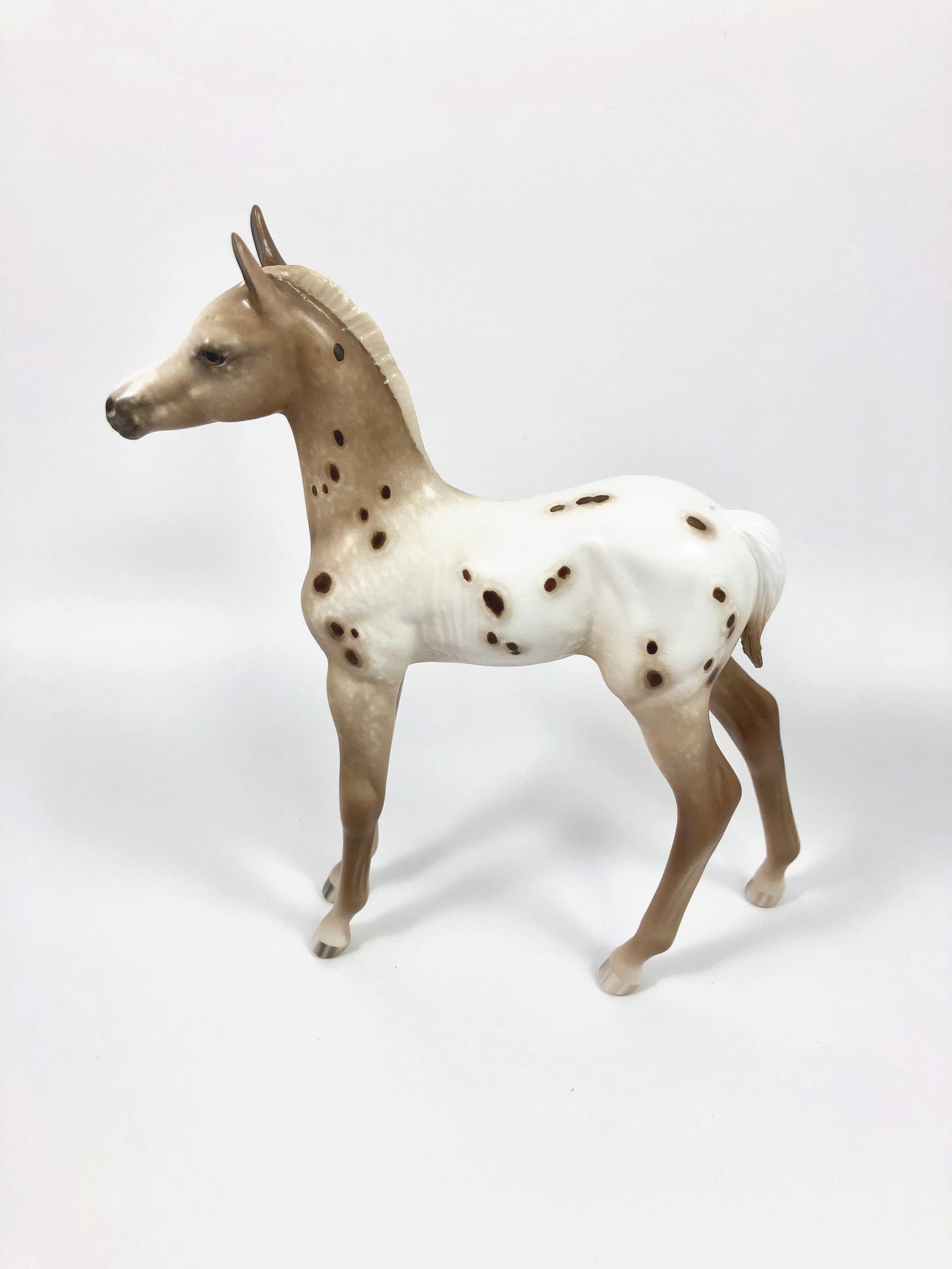 SUMMER SNOWCONE-OOAK CHESTNUT APPALOOSA FOAL BY SHERYL LEISURE 4/25/19