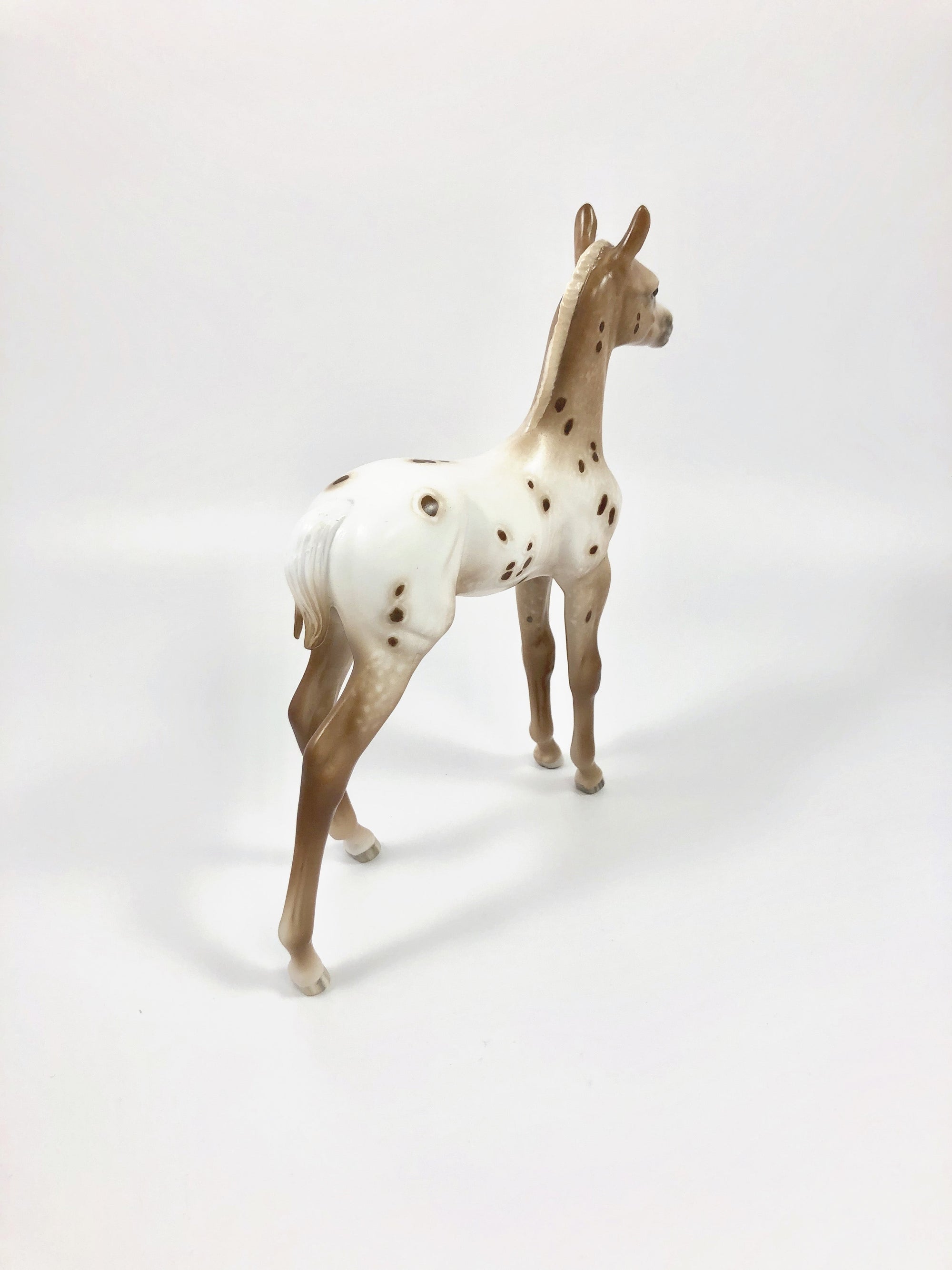 SUMMER SNOWCONE-OOAK CHESTNUT APPALOOSA FOAL BY SHERYL LEISURE 4/25/19