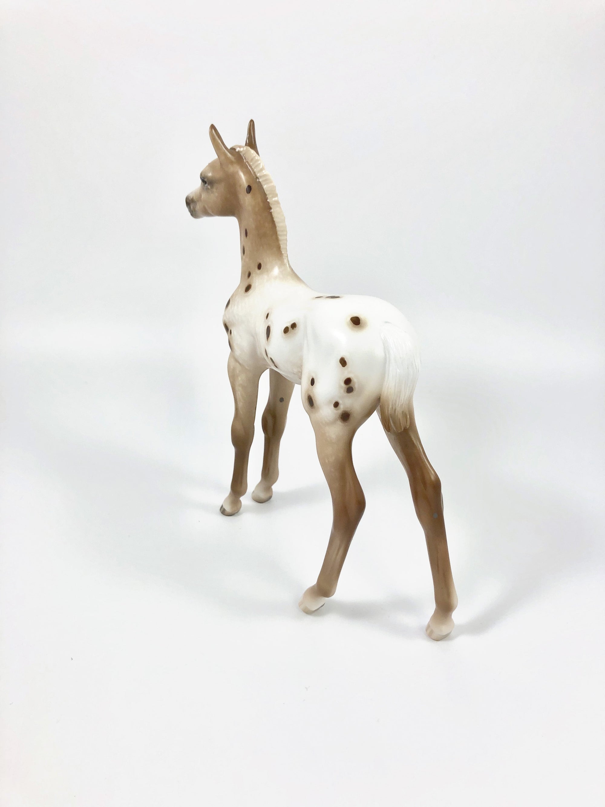 SUMMER SNOWCONE-OOAK CHESTNUT APPALOOSA FOAL BY SHERYL LEISURE 4/25/19