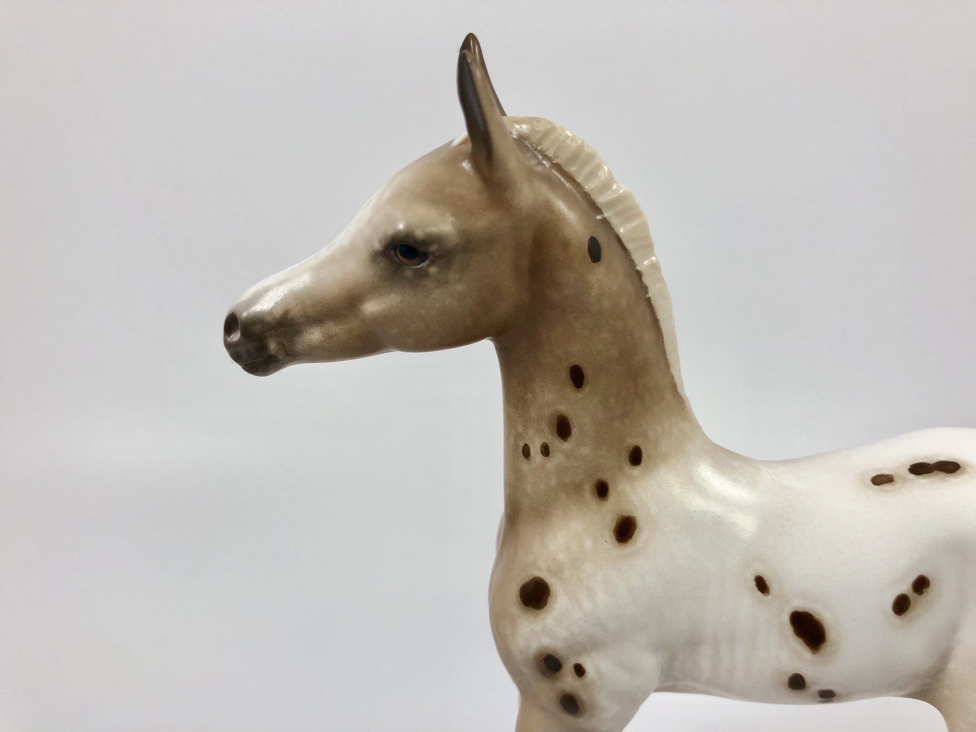 SUMMER SNOWCONE-OOAK CHESTNUT APPALOOSA FOAL BY SHERYL LEISURE 4/25/19