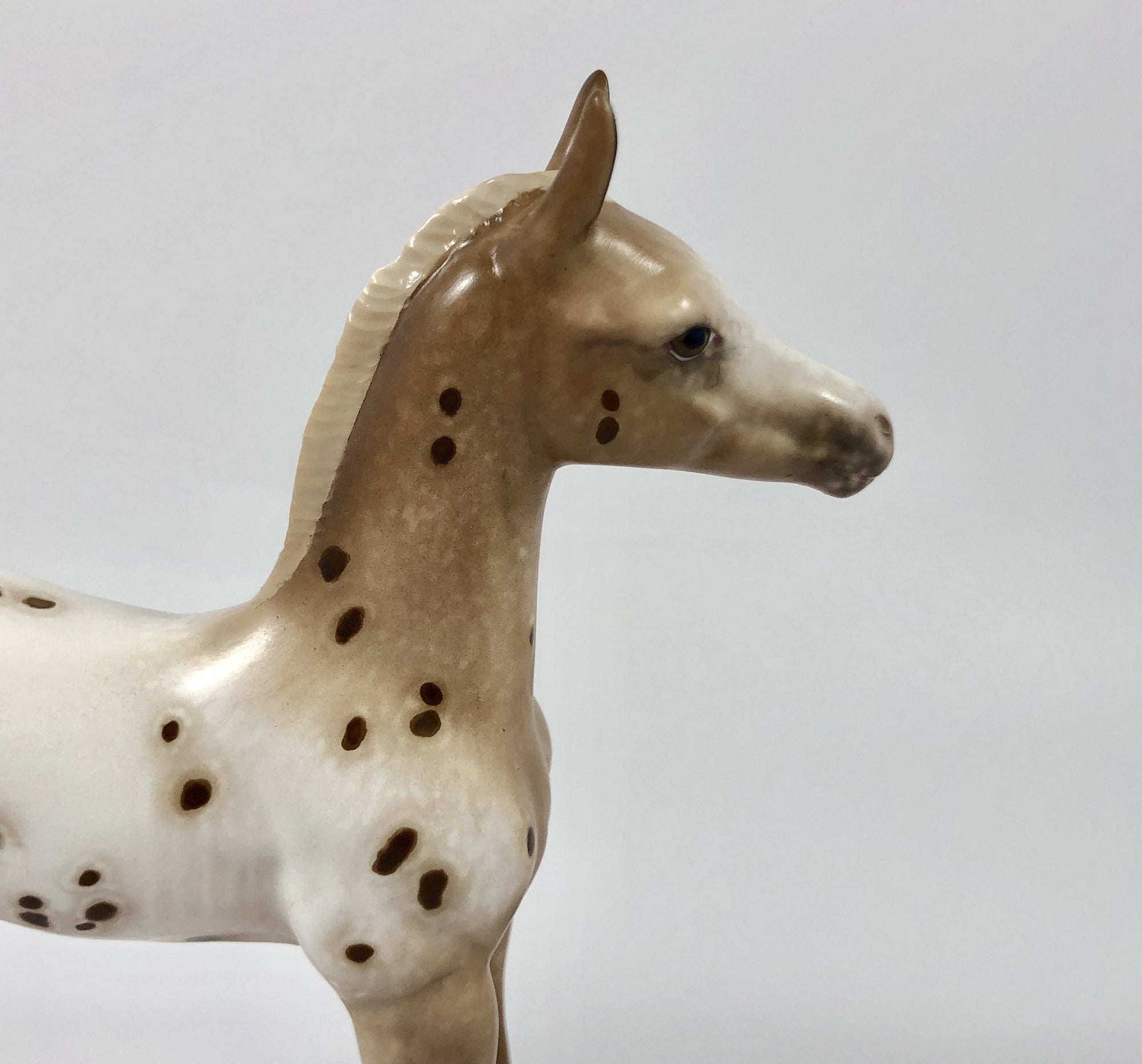 SUMMER SNOWCONE-OOAK CHESTNUT APPALOOSA FOAL BY SHERYL LEISURE 4/25/19