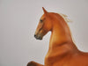 SUMMER SUNSET-OOAK DAPPLE GOLDEN PALOMINO SADDLBRED BY DAWN QUICK