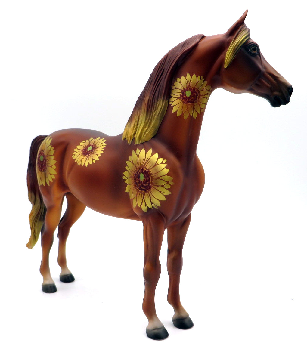 Maximilian-LE-3 Fall Sunflower Deco Morgan 11/12/21