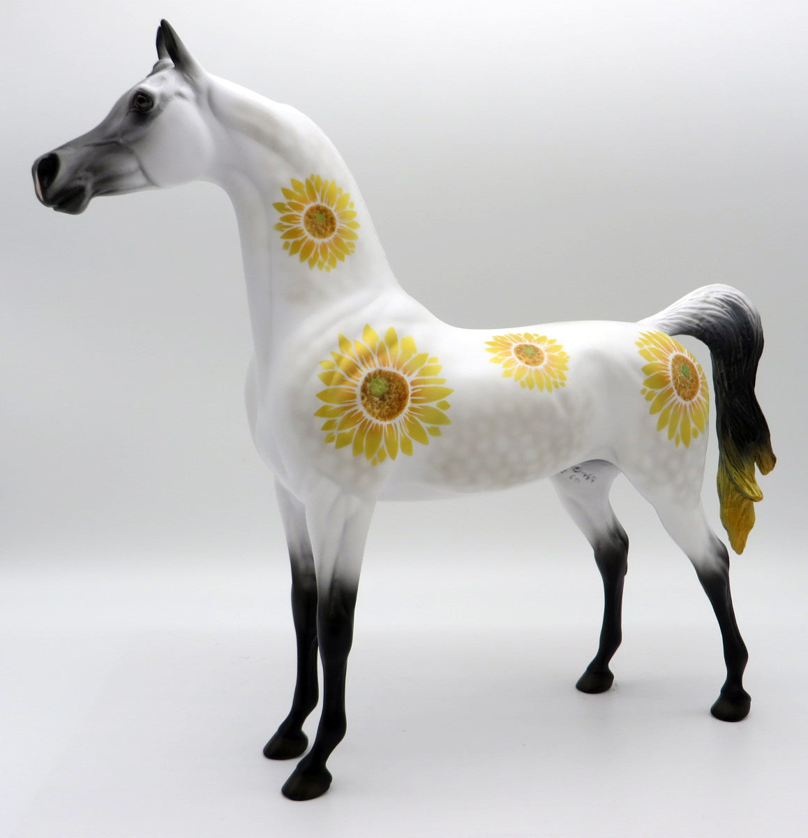 Sunny Days-LE-3 Fall Sunflower Deco Arabian 11/12/21