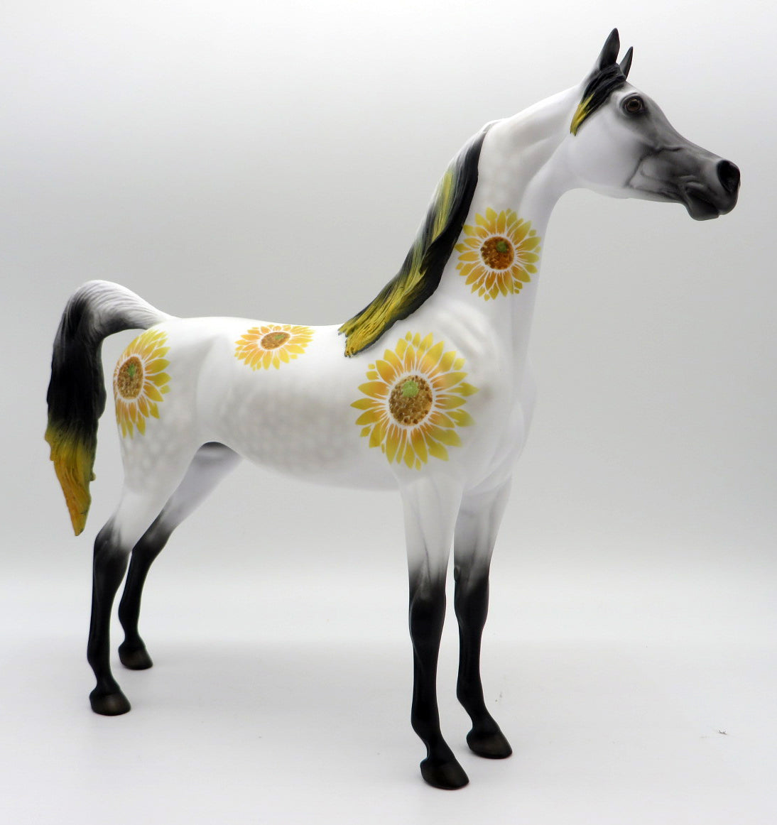 Sunny Days-LE-3 Fall Sunflower Deco Arabian 11/12/21