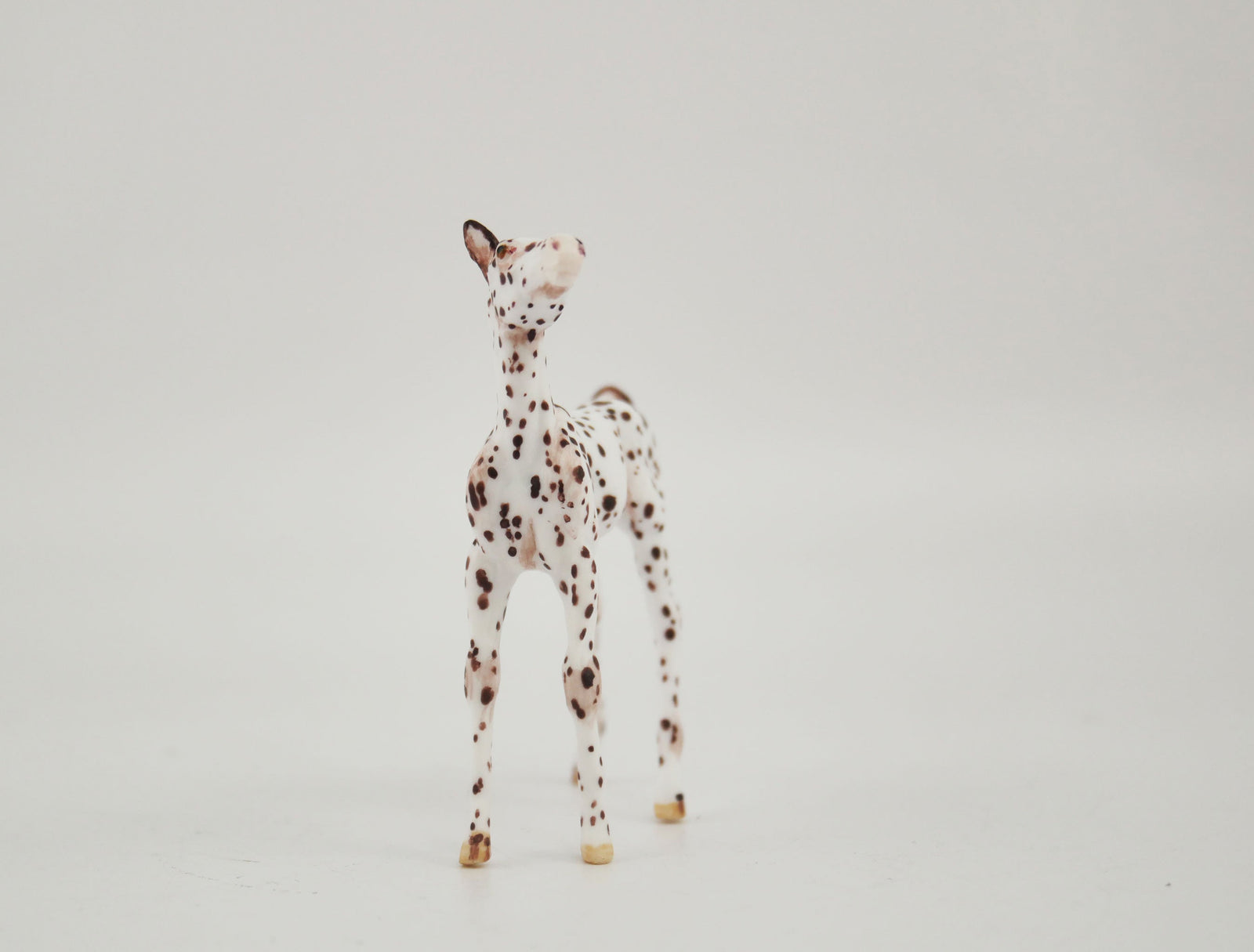 Sung OOAK Appaloosa Foal Chip By Andrea MM 2020