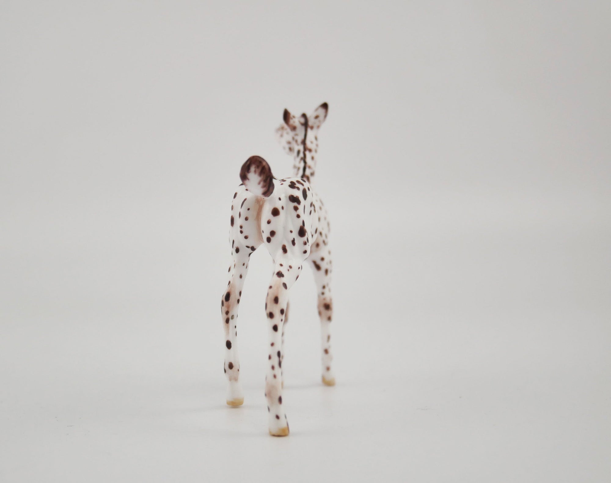 Sung OOAK Appaloosa Foal Chip By Andrea MM 2020