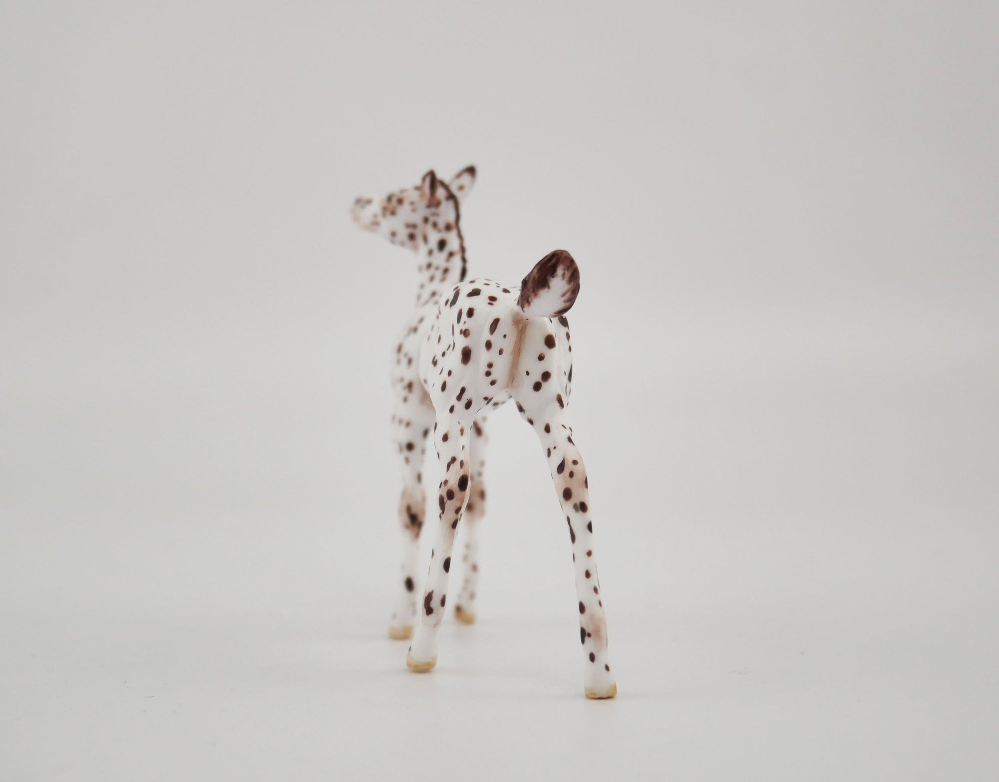 Sung OOAK Appaloosa Foal Chip By Andrea MM 2020