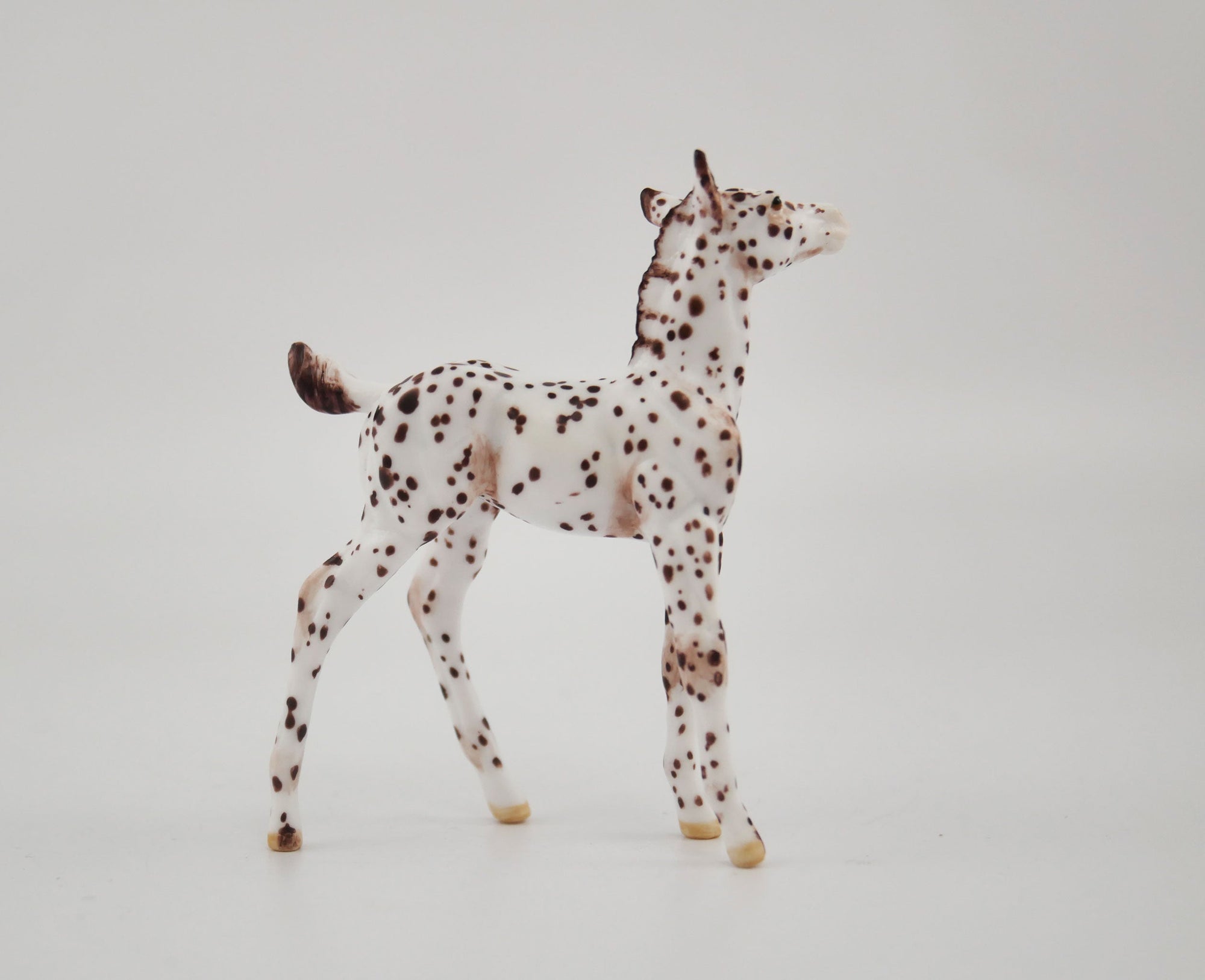 Sung OOAK Appaloosa Foal Chip By Andrea MM 2020