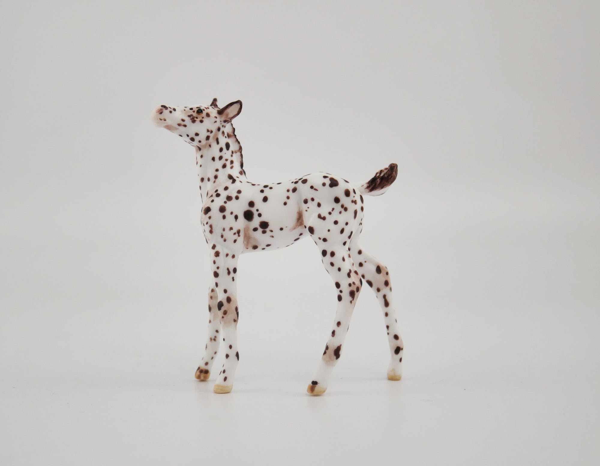 Sung OOAK Appaloosa Foal Chip By Andrea MM 2020