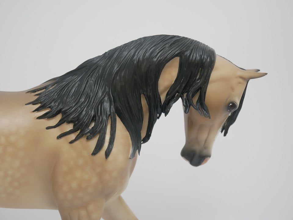 SUNNY SIDE-OOAK DAPPLE BUCKSKIN THOROUGHBRED BY SHERYL LEISURE 4/9/20