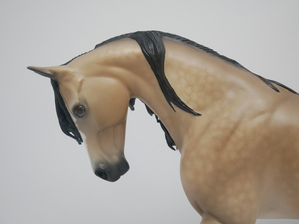 SUNNY SIDE-OOAK DAPPLE BUCKSKIN THOROUGHBRED BY SHERYL LEISURE 4/9/20