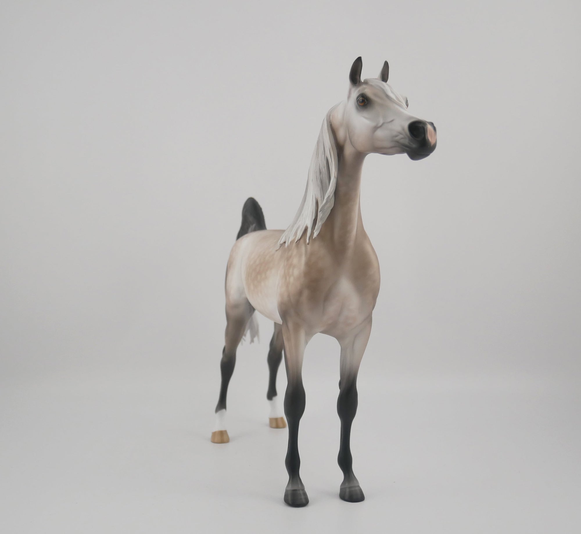 SUPREMATISM-OOAK STAR DAPPLE GREY ARABIAN BY SHERYL LEISURE