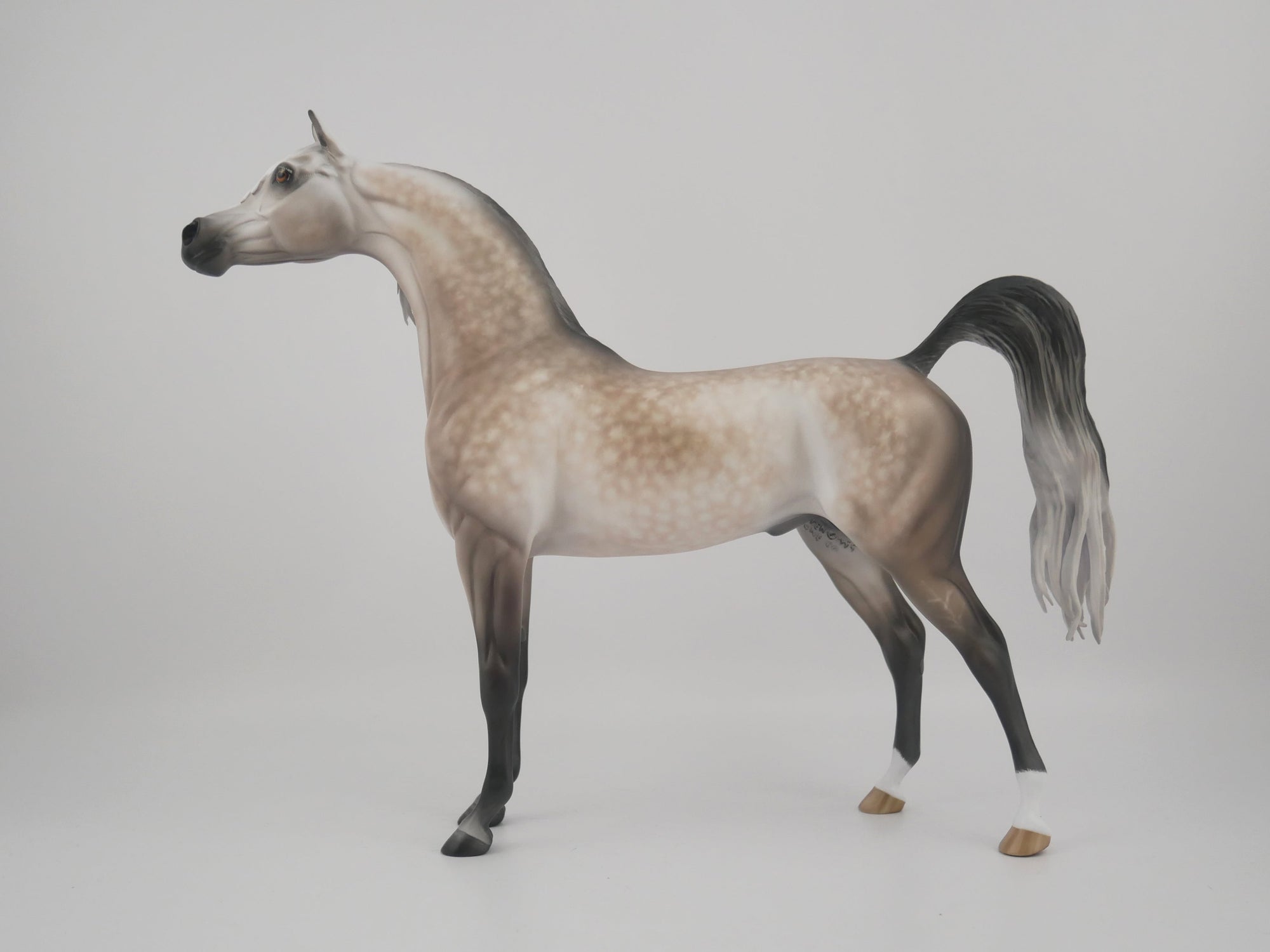 SUPREMATISM-OOAK STAR DAPPLE GREY ARABIAN BY SHERYL LEISURE