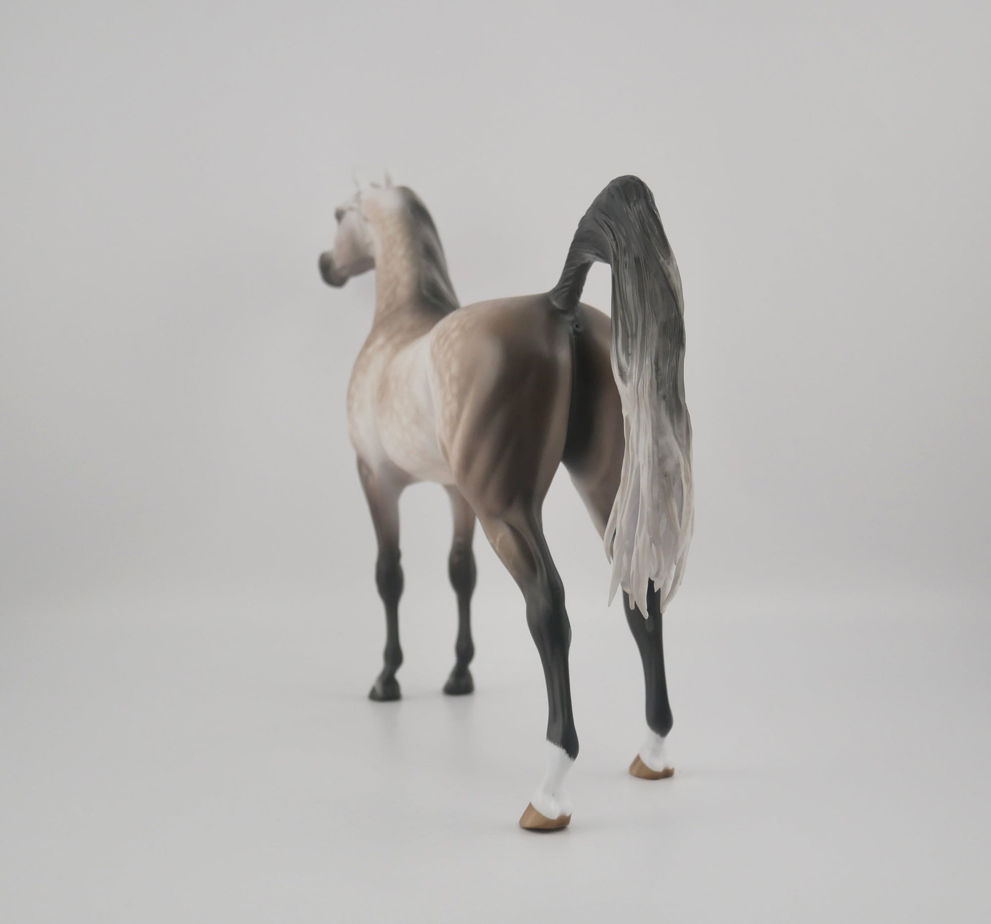 SUPREMATISM-OOAK STAR DAPPLE GREY ARABIAN BY SHERYL LEISURE