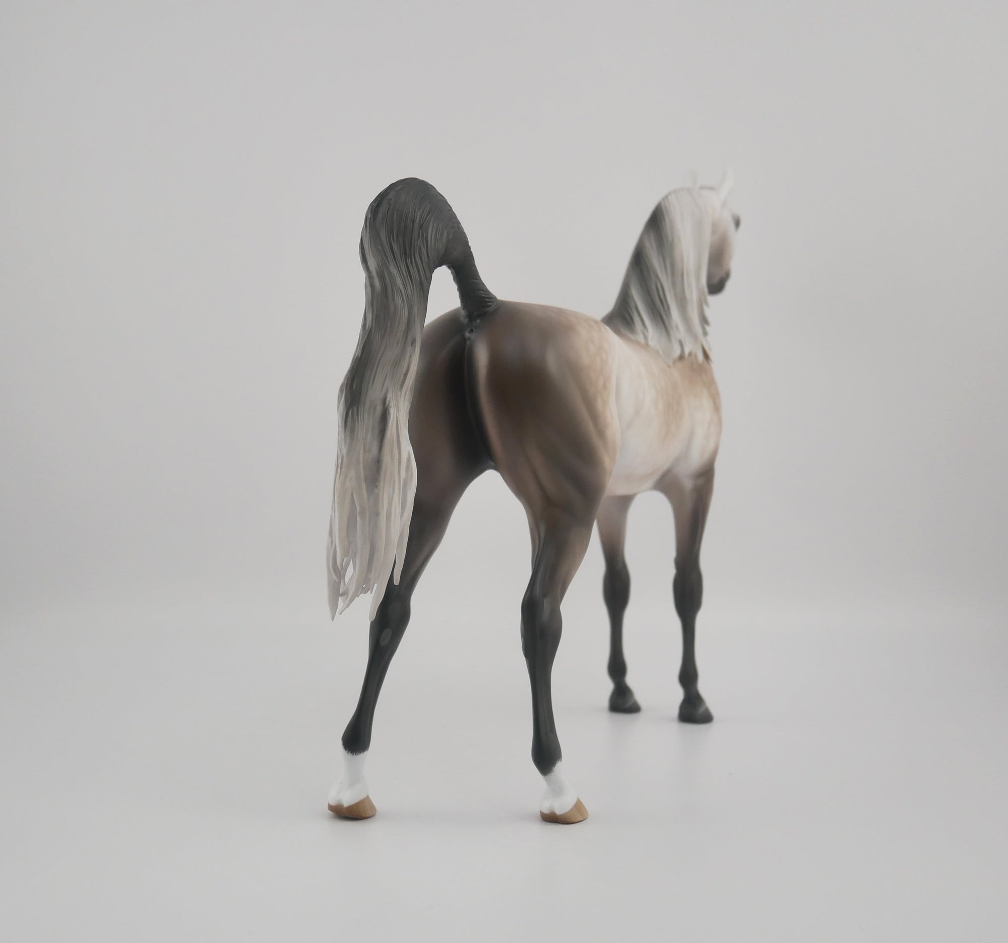 SUPREMATISM-OOAK STAR DAPPLE GREY ARABIAN BY SHERYL LEISURE
