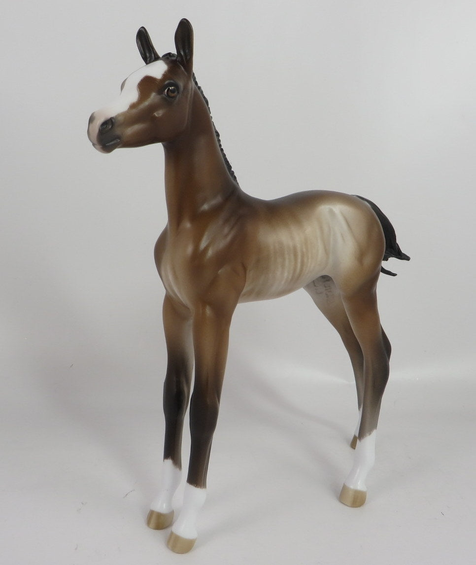 SUSAN-OOAK BAY RABICANO FOAL BY SHERYL LEISURE WHS 19