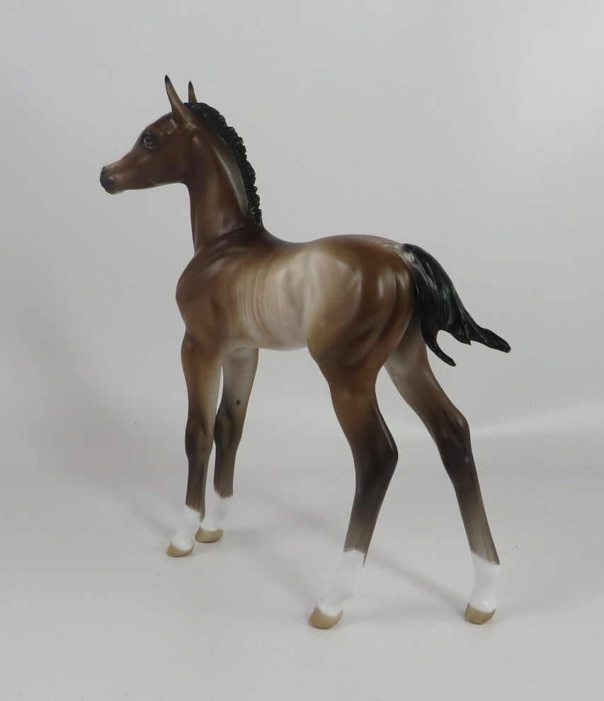 SUSAN-OOAK BAY RABICANO FOAL BY SHERYL LEISURE WHS 19