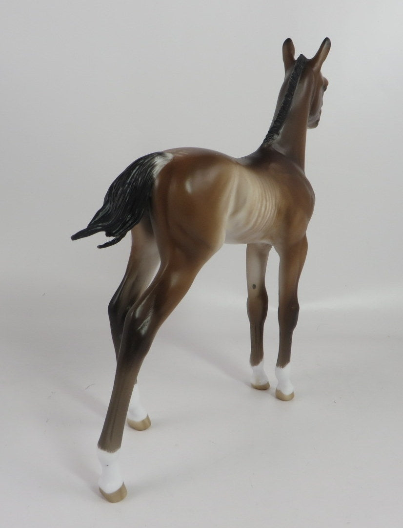SUSAN-OOAK BAY RABICANO FOAL BY SHERYL LEISURE WHS 19