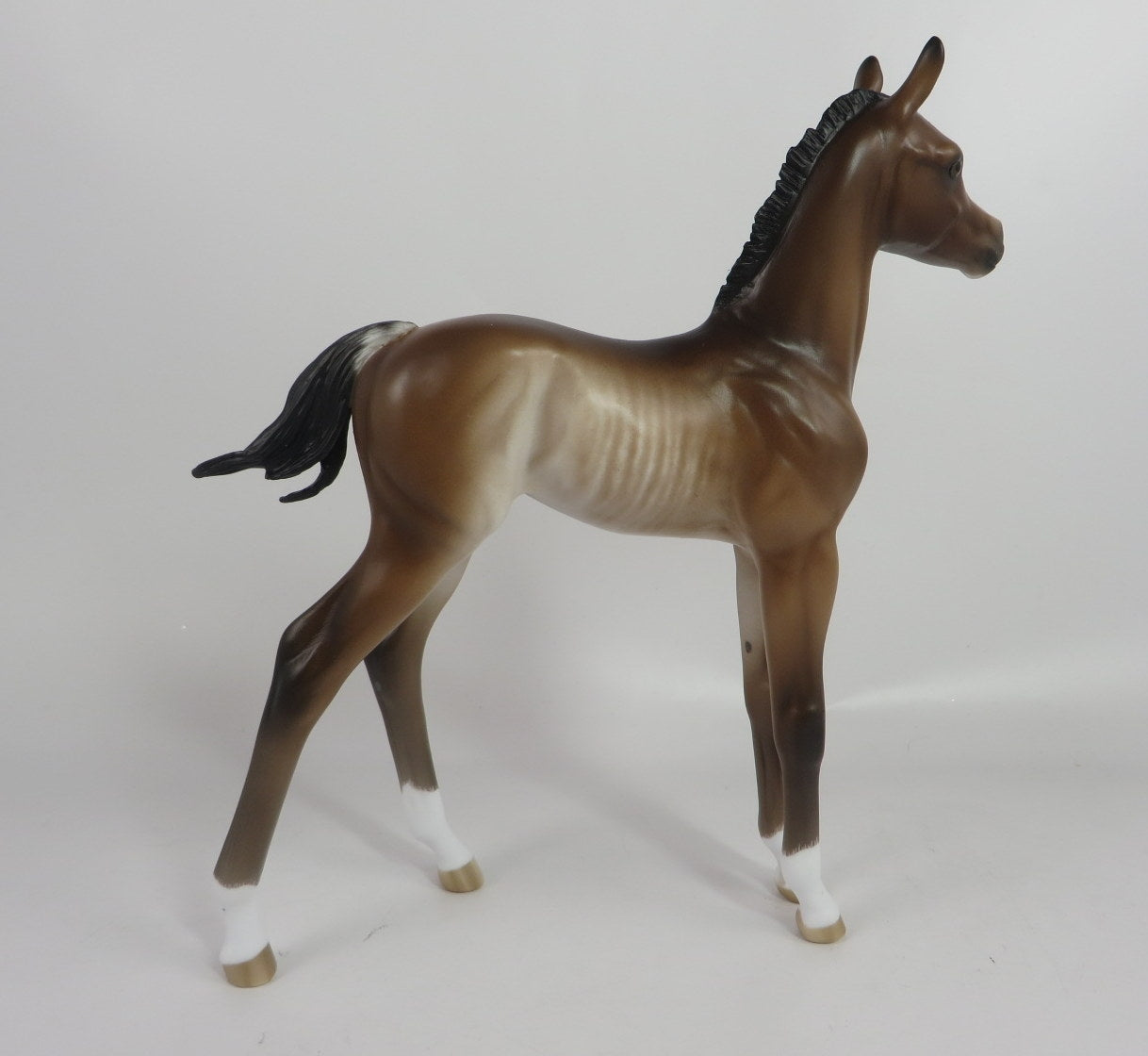 SUSAN-OOAK BAY RABICANO FOAL BY SHERYL LEISURE WHS 19