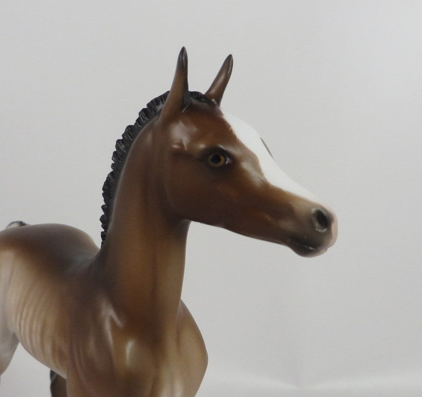 SUSAN-OOAK BAY RABICANO FOAL BY SHERYL LEISURE WHS 19