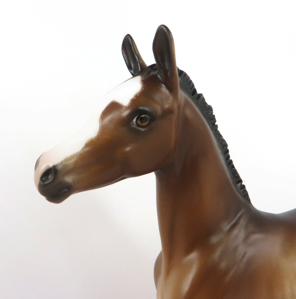 SUSAN-OOAK BAY RABICANO FOAL BY SHERYL LEISURE WHS 19