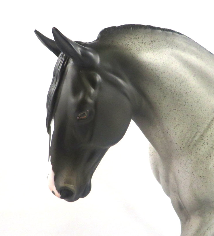 TACKLE-LE-10 BLUE ROAN PINTO IRISH DRAFT MODEL HORSE SB20
