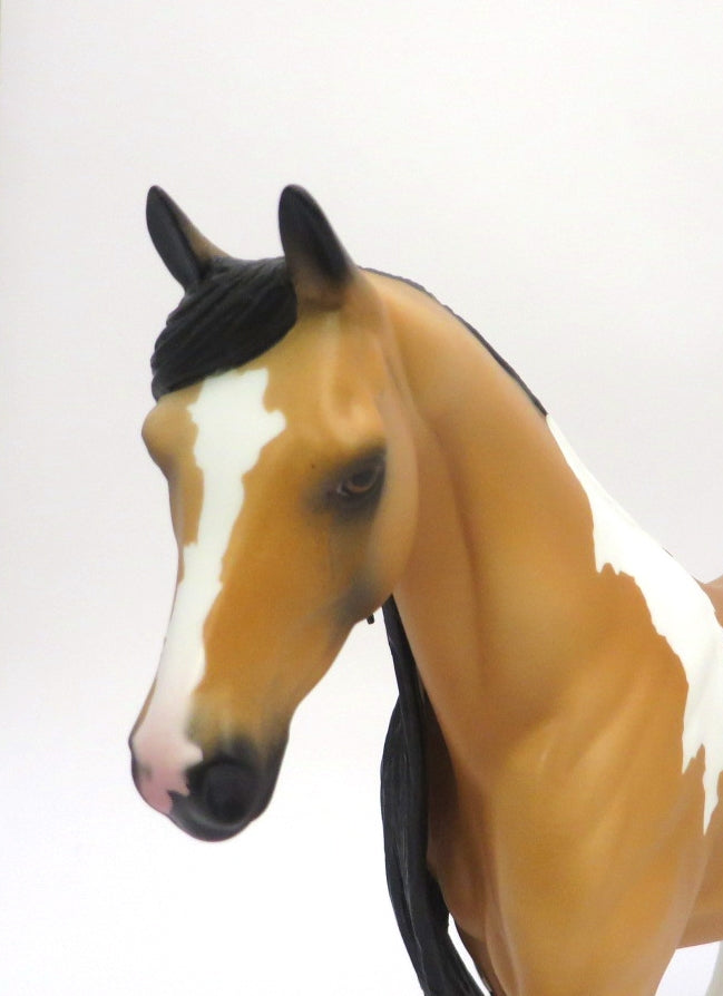 TANSLEY - OOAK BUCSKIN PINTO PONY WITH LONG MANE AND TAIL EA20
