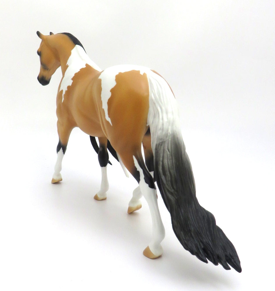 TANSLEY - OOAK BUCSKIN PINTO PONY WITH LONG MANE AND TAIL EA20