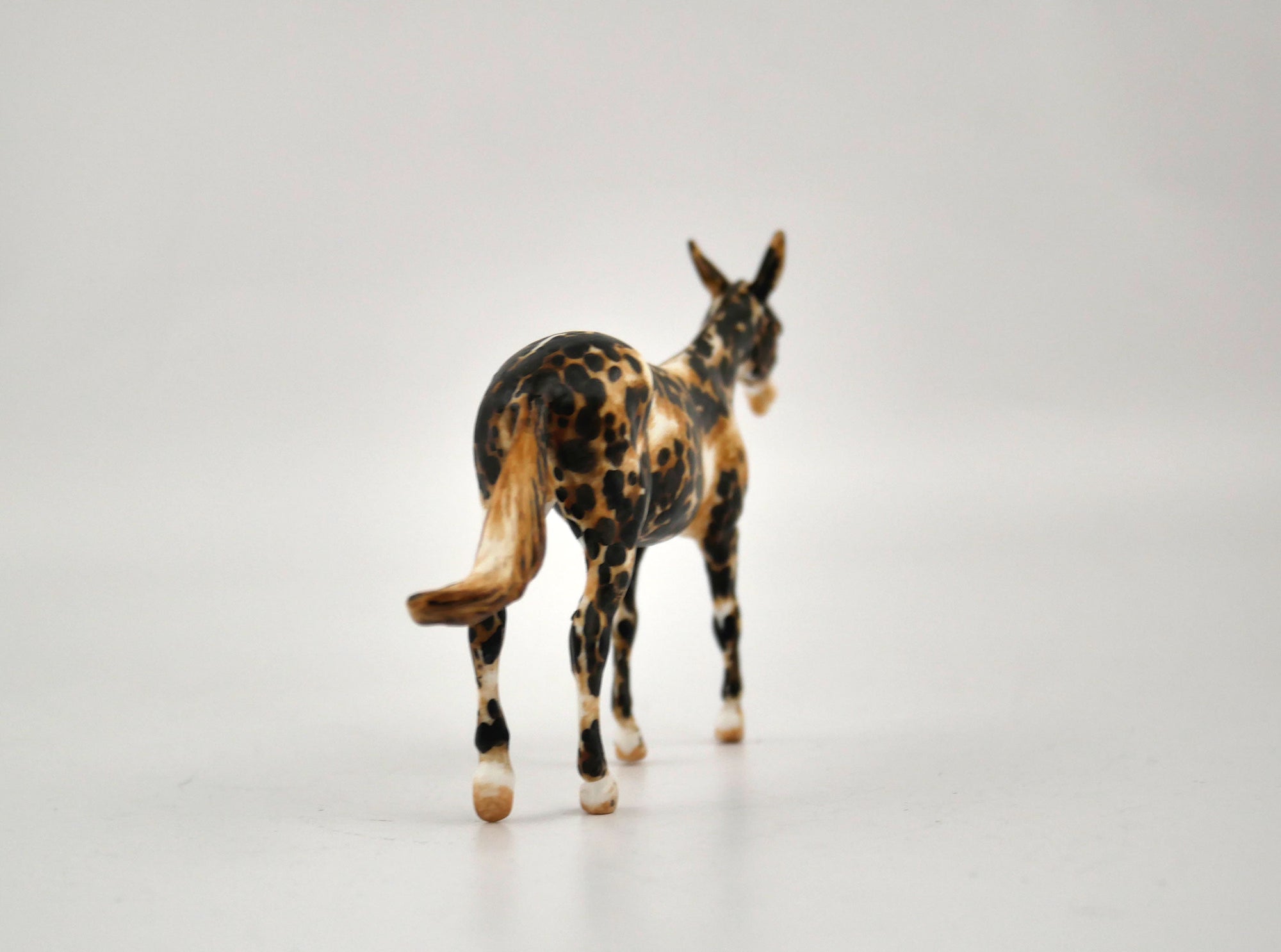 Tarzan-OOAK Mule Appaloosa Chip By Andrea MM 2020
