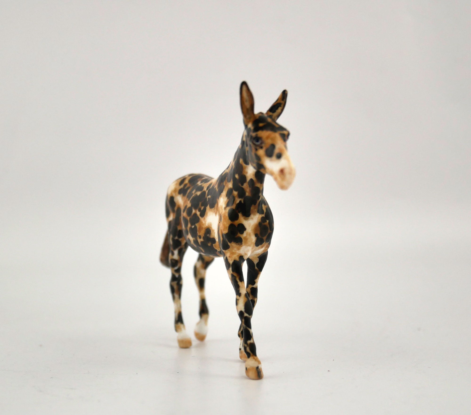 Tarzan-OOAK Mule Appaloosa Chip By Andrea MM 2020