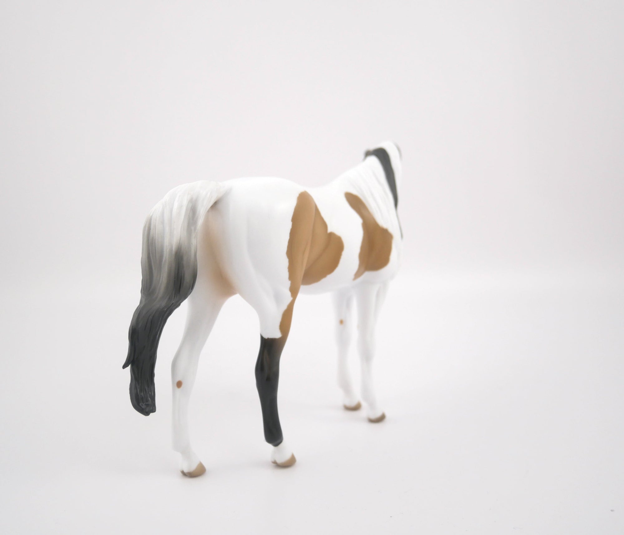 TATTLE TAIL-LE-9-BUCKSKIN PINTO ARABIAN MARE PEBBLES BY AUDREY DIXON 7/22/20