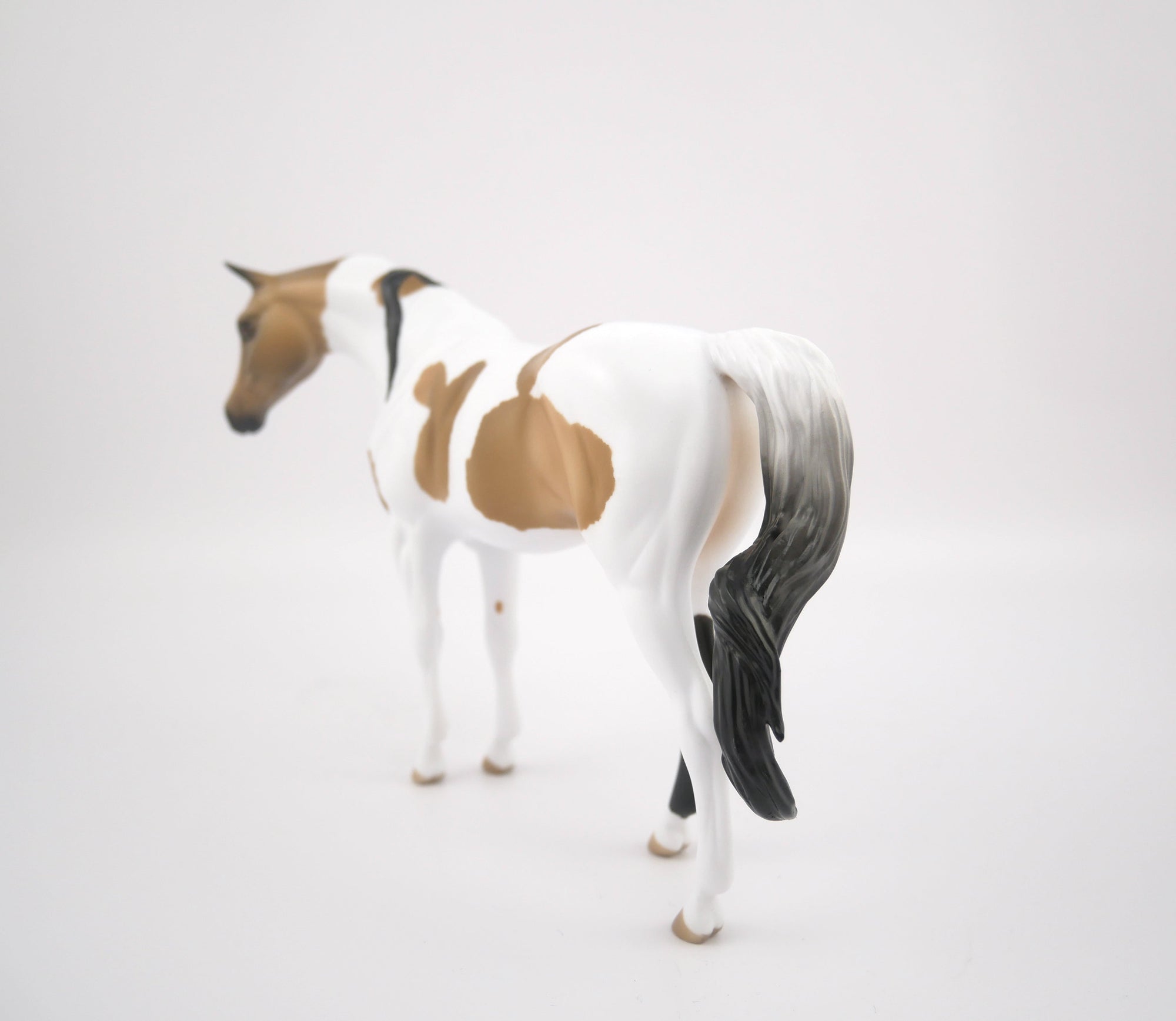 TATTLE TAIL-LE-9-BUCKSKIN PINTO ARABIAN MARE PEBBLES BY AUDREY DIXON 7/22/20