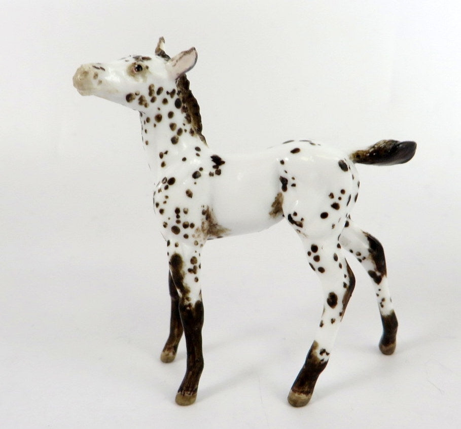 TAYLOR - OOAK BROWN  APPY FOAL CHIP BY ANDREA THOMASON WHS 19