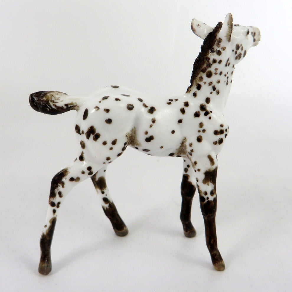 TAYLOR - OOAK BROWN  APPY FOAL CHIP BY ANDREA THOMASON WHS 19