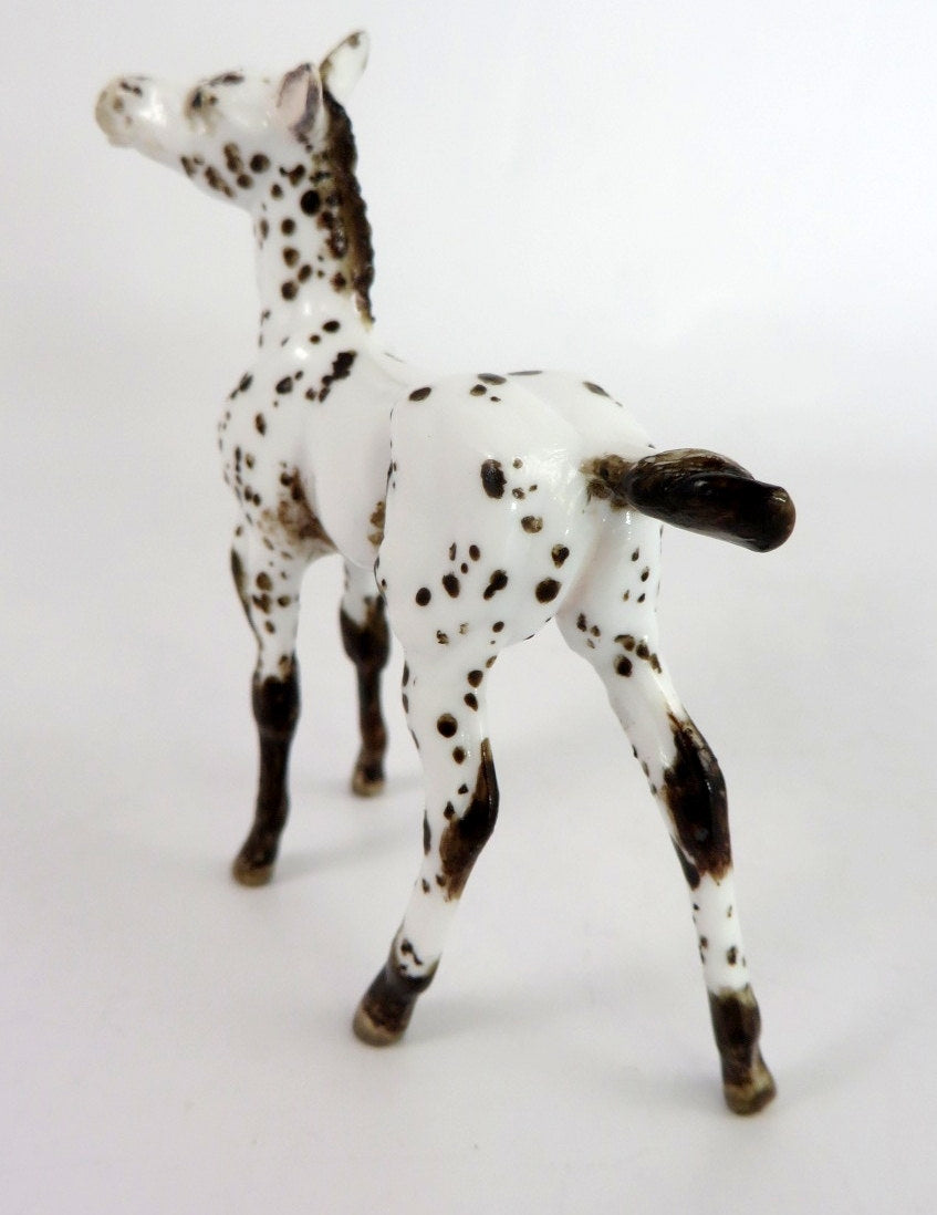 TAYLOR - OOAK BROWN  APPY FOAL CHIP BY ANDREA THOMASON WHS 19