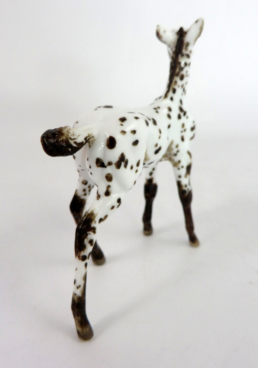 TAYLOR - OOAK BROWN  APPY FOAL CHIP BY ANDREA THOMASON WHS 19