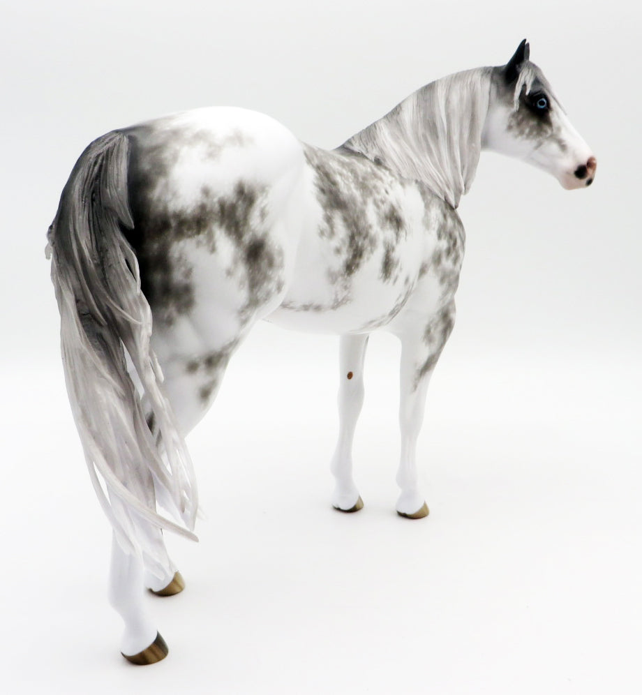 Tell it like it Is-OOAK Grey Sabino ISH Painted by Sheryl Leisure 10/25/21