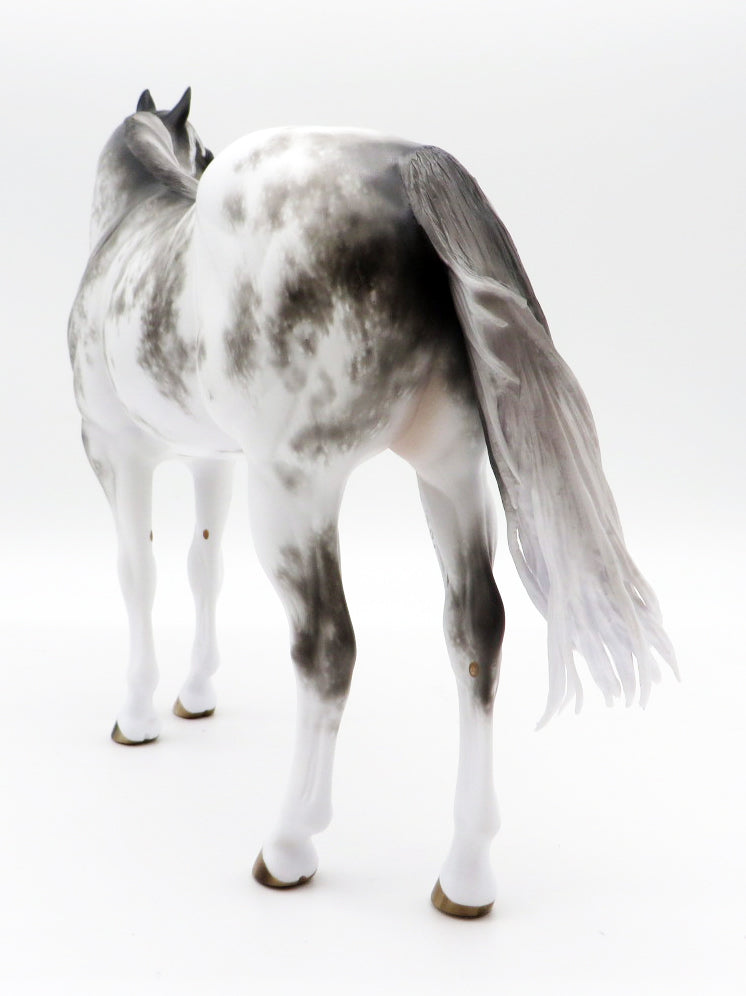 Tell it like it Is-OOAK Grey Sabino ISH Painted by Sheryl Leisure 10/25/21