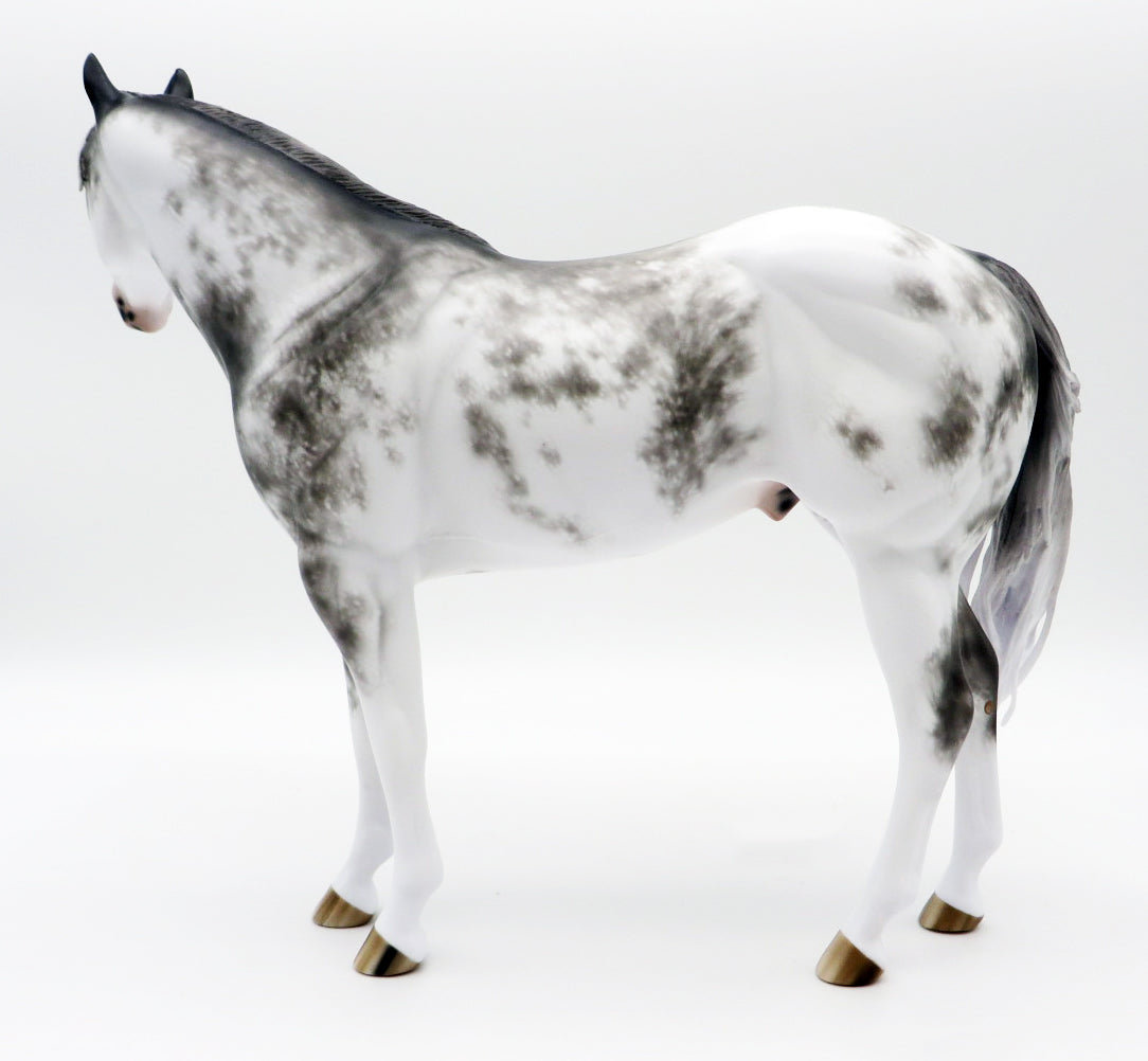 Tell it like it Is-OOAK Grey Sabino ISH Painted by Sheryl Leisure 10/25/21