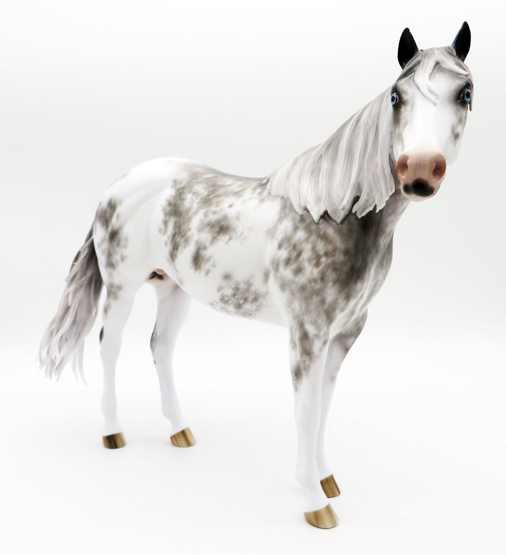 Tell it like it Is-OOAK Grey Sabino ISH Painted by Sheryl Leisure 10/25/21