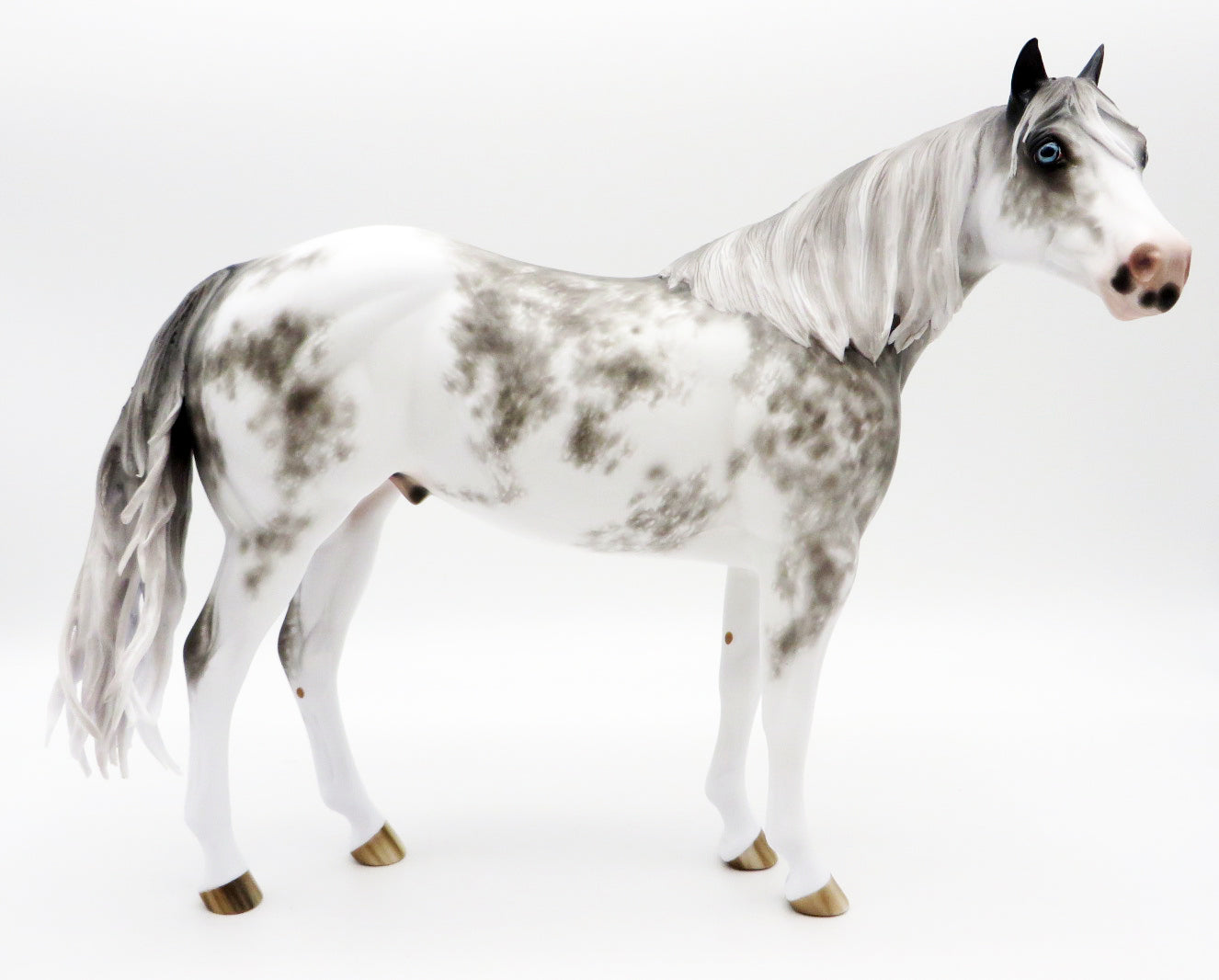 Tell it like it Is-OOAK Grey Sabino ISH Painted by Sheryl Leisure 10/25/21