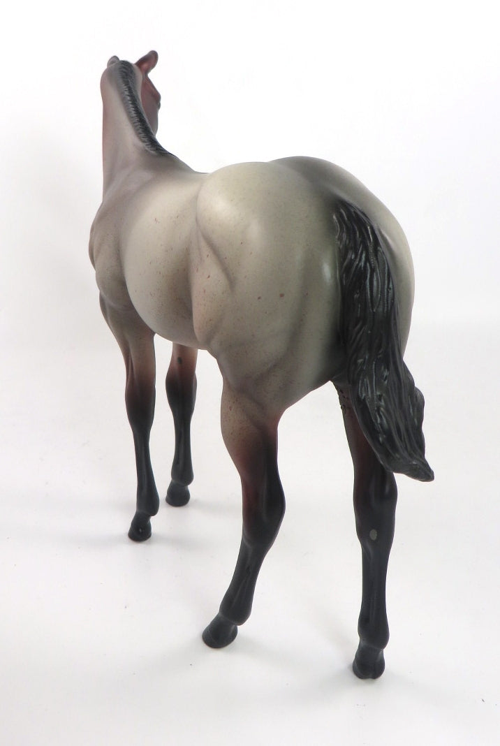 LUZIA - OOAK BAY ROAN WEANLING MODEL HORSE BY MISSY FOX 1/14/20