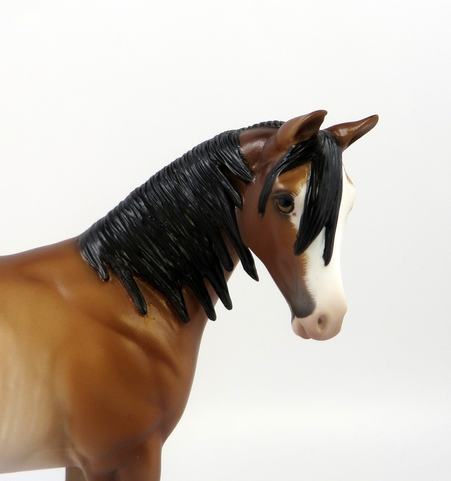 THEED-OOAK BAY RABICANO WEANLING MODEL HORSE BY SHERYL LEISURE EQ 19