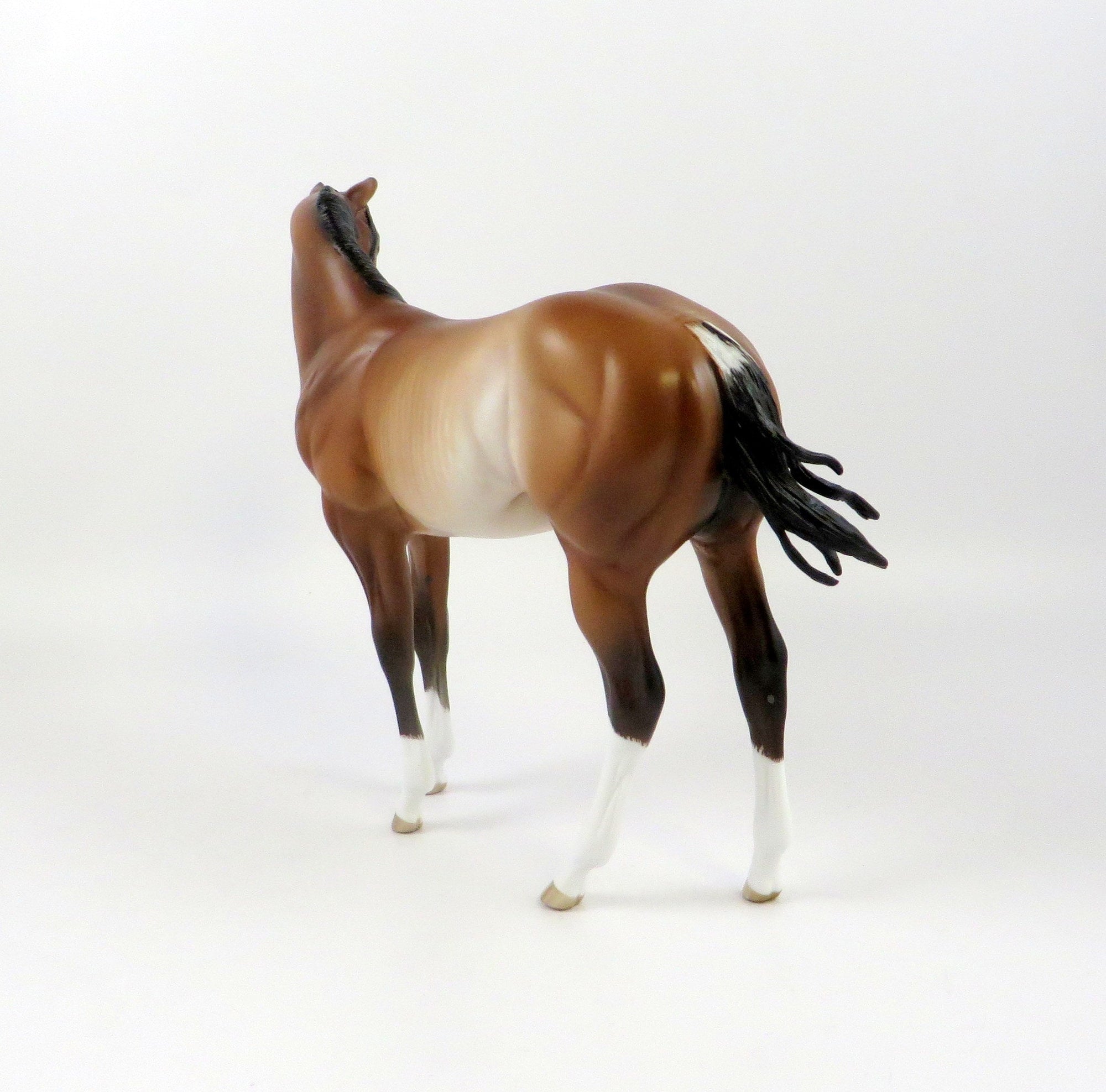 THEED-OOAK BAY RABICANO WEANLING MODEL HORSE BY SHERYL LEISURE EQ 19