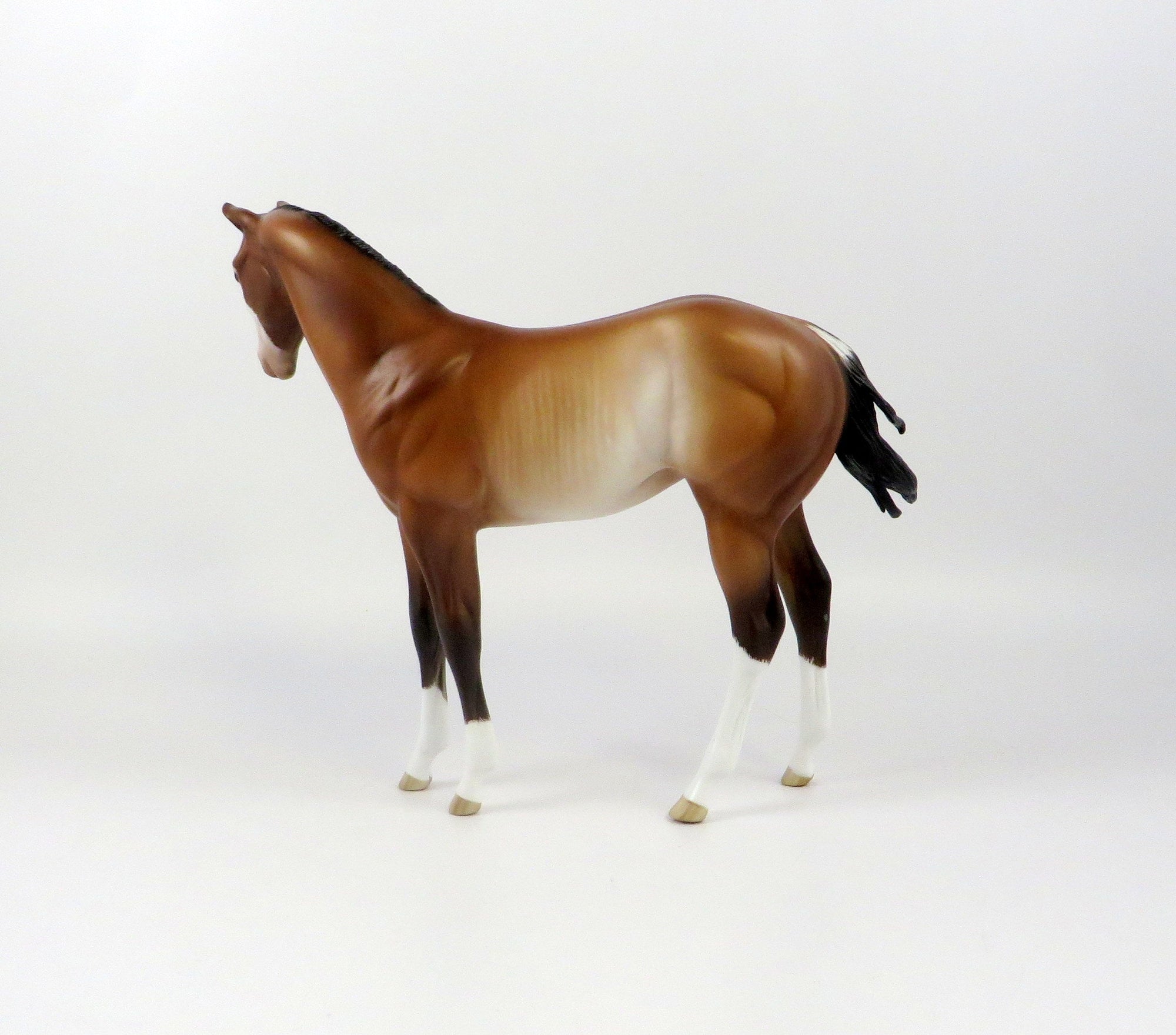 THEED-OOAK BAY RABICANO WEANLING MODEL HORSE BY SHERYL LEISURE EQ 19