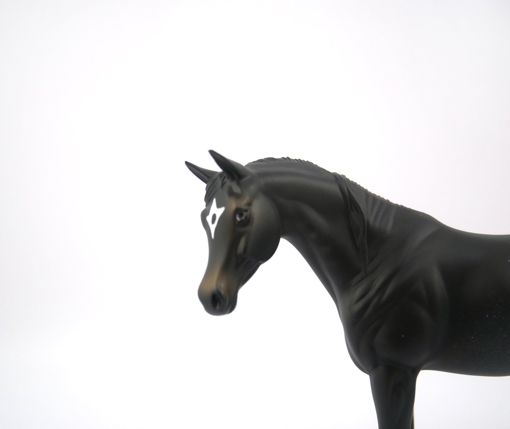 THE KEY-OOAK BLACK RABICANO ARABIAN PEBBLES BY AUDREY DIXON 7/22/20