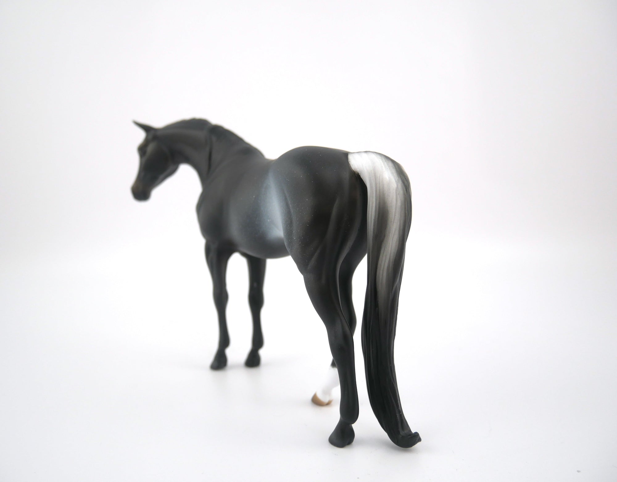 THE KEY-OOAK BLACK RABICANO ARABIAN PEBBLES BY AUDREY DIXON 7/22/20