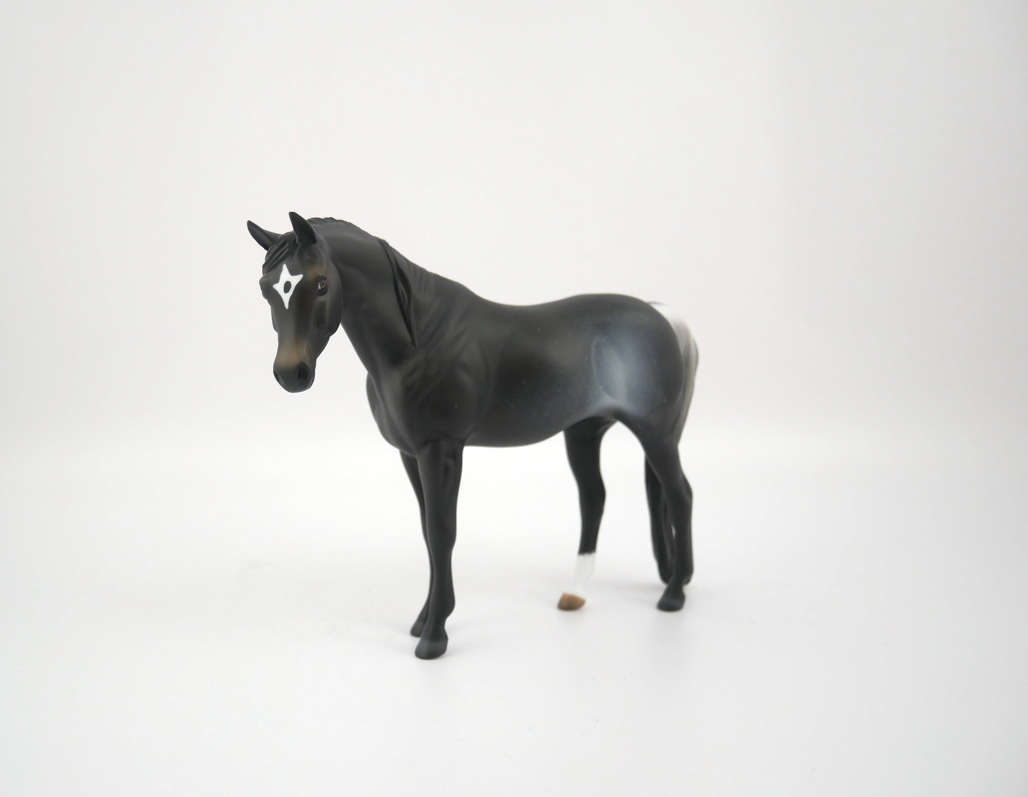 THE KEY-OOAK BLACK RABICANO ARABIAN PEBBLES BY AUDREY DIXON 7/22/20